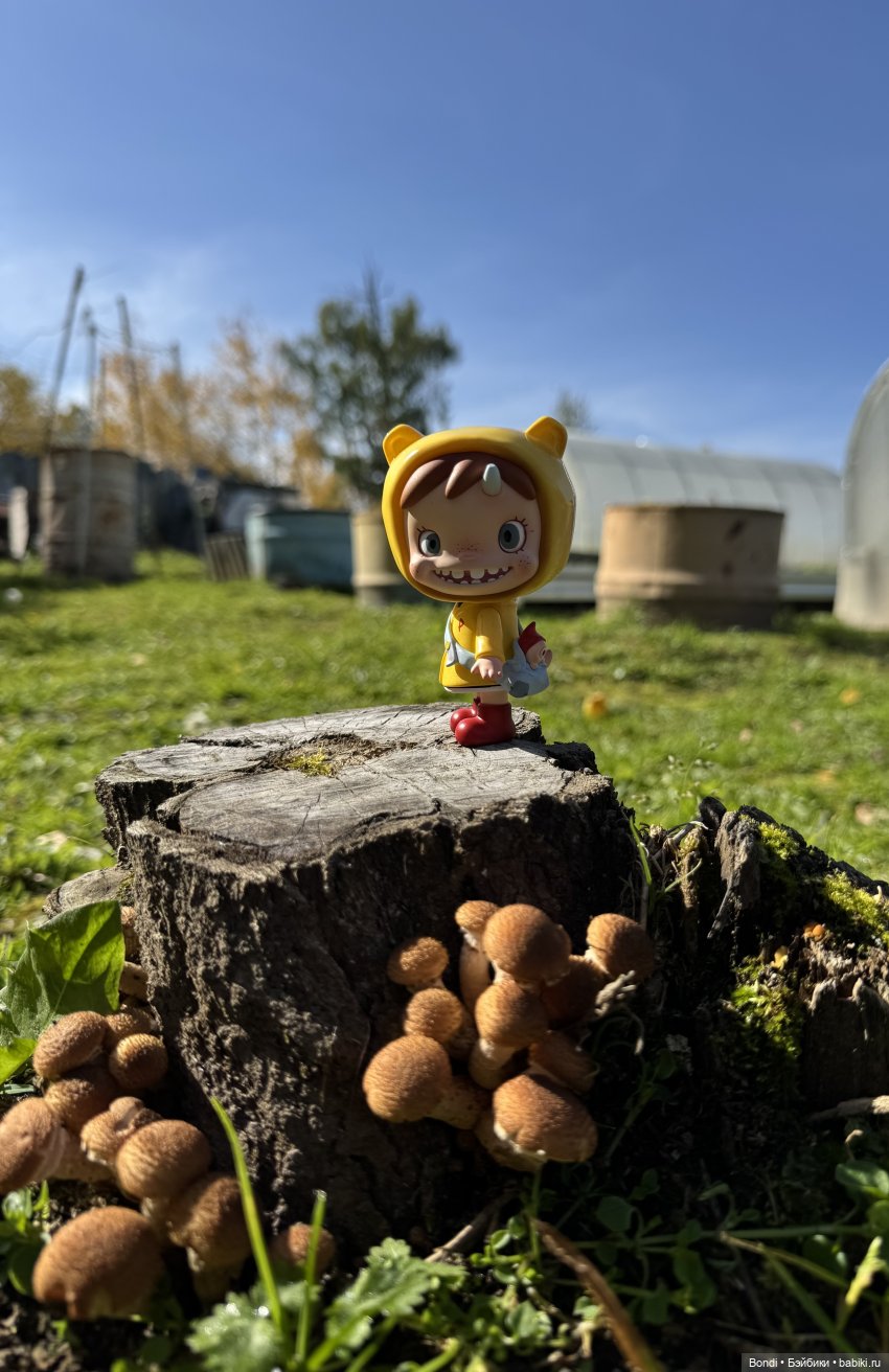 Осенние фото фигурок. 🍁🍂 — Фигурки Pop Mart (Поп Март): Blind Box (фото 4)