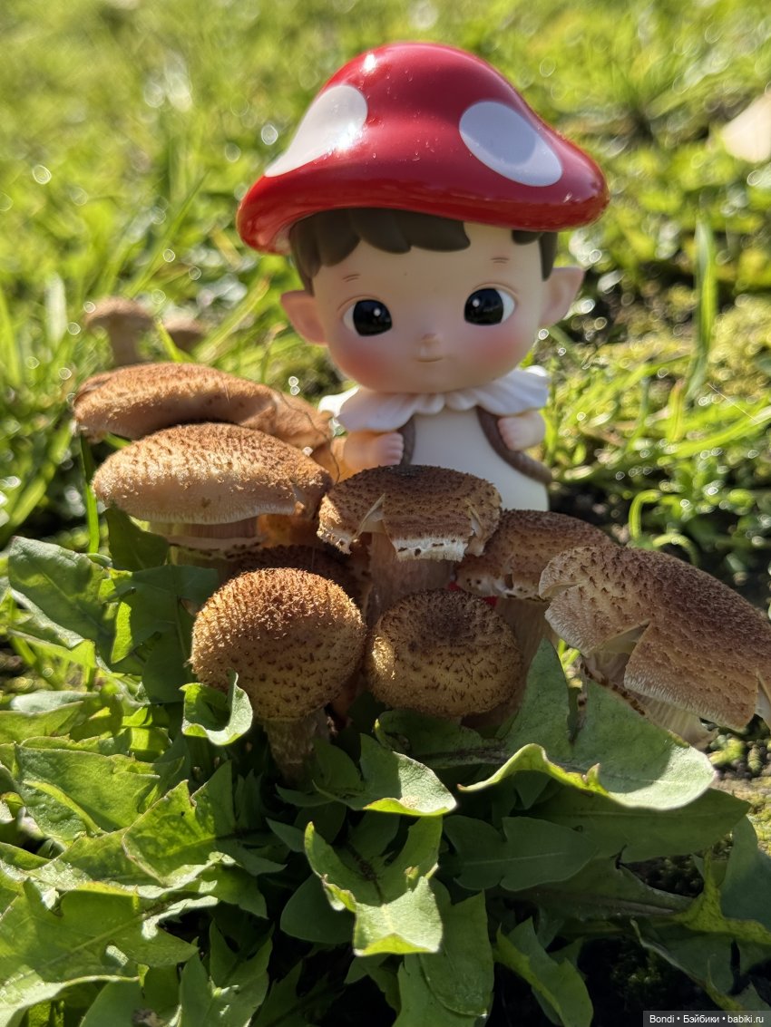 Осенние фото фигурок. 🍁🍂 — Фигурки Pop Mart (Поп Март): Blind Box (фото 2)