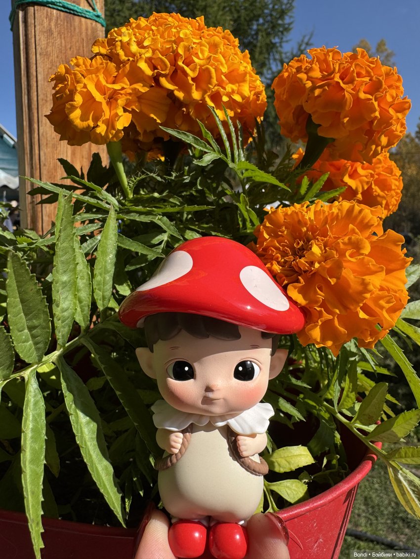 Осенние фото фигурок. 🍁🍂 — Фигурки Pop Mart (Поп Март): Blind Box (фото 5)