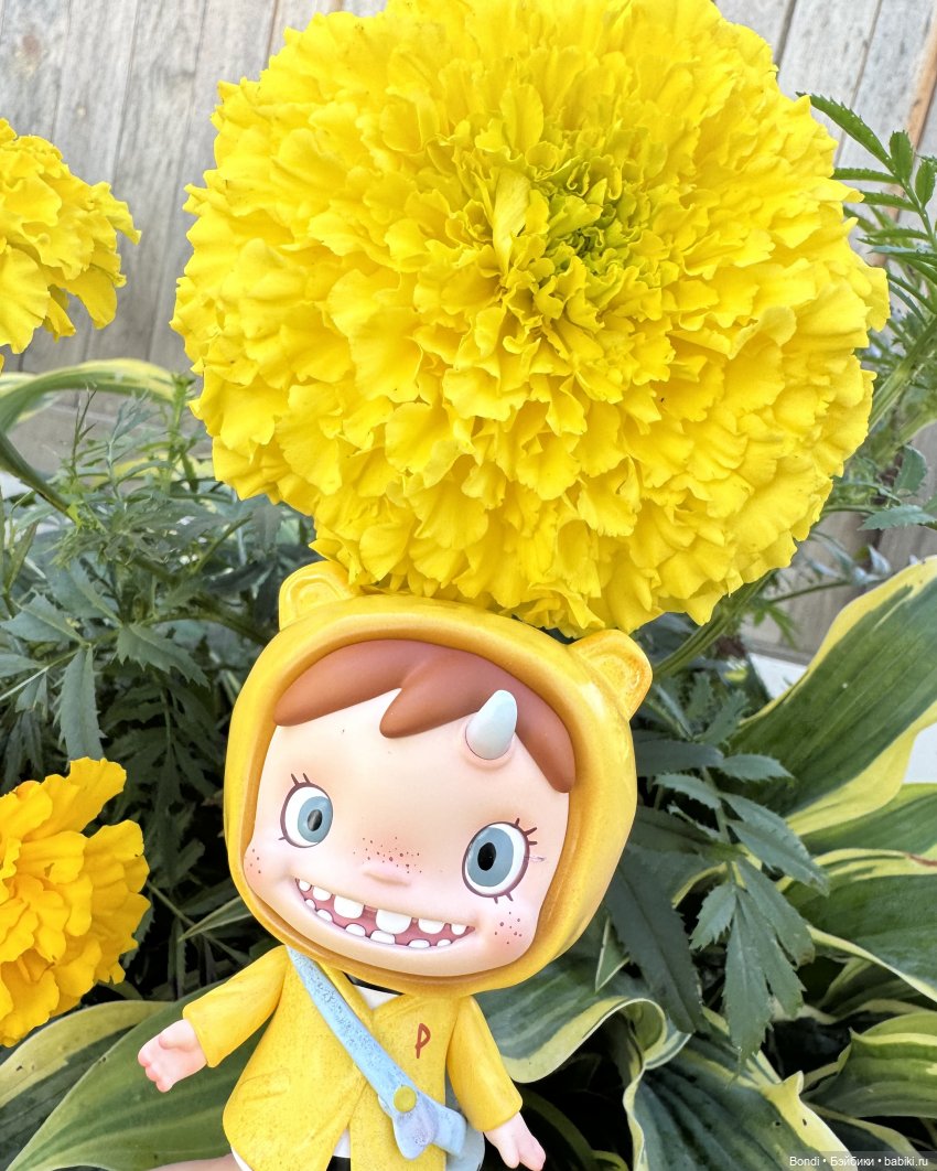 Осенние фото фигурок. 🍁🍂 — Фигурки Pop Mart (Поп Март): Blind Box (фото 6)