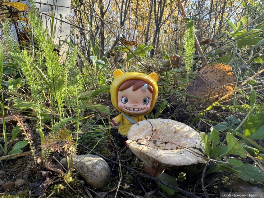 Осенние фото фигурок. 🍁🍂 — Фигурки Pop Mart (Поп Март): Blind Box