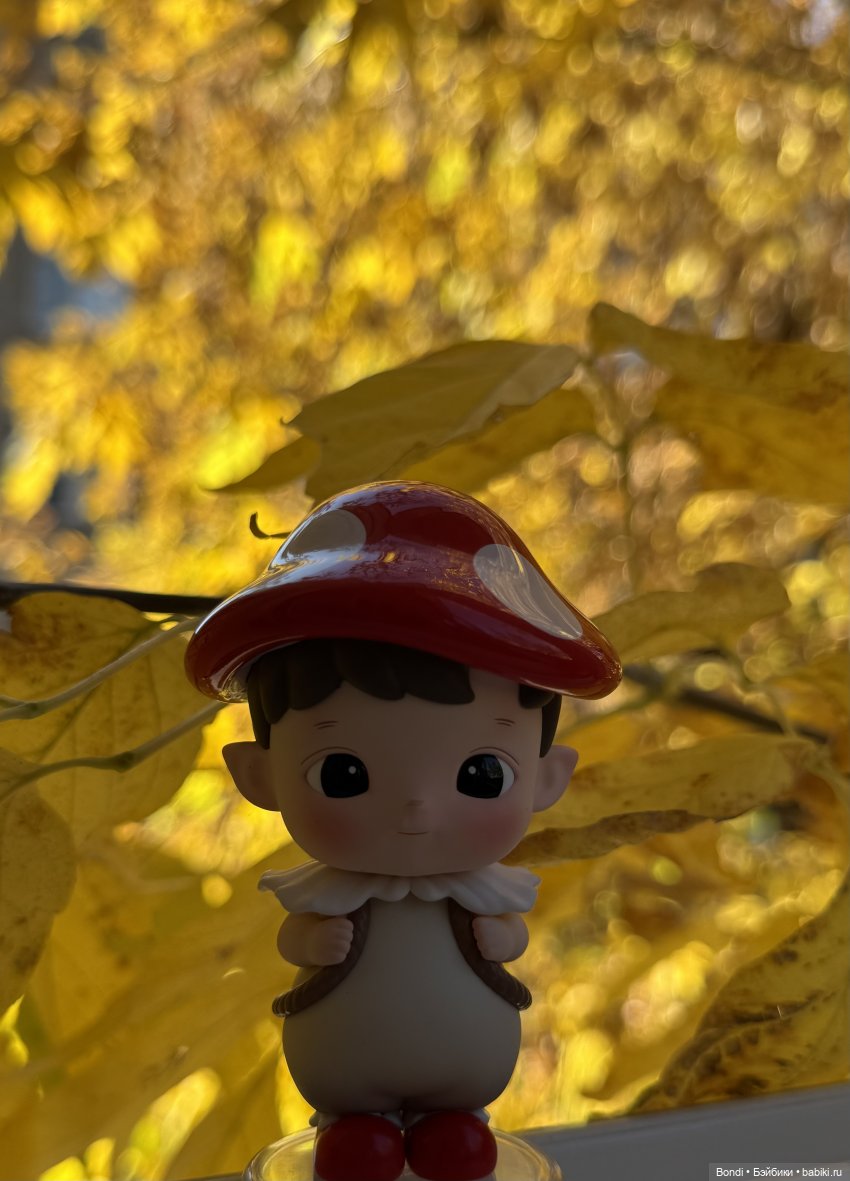 Осенние фото фигурок. 🍁🍂 — Фигурки Pop Mart (Поп Март): Blind Box