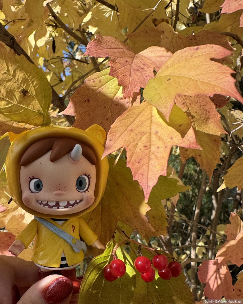 Осенние фото фигурок. 🍁🍂 — Фигурки Pop Mart (Поп Март): Blind Box (фото 3)