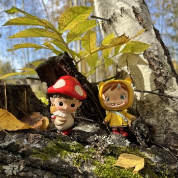 Осенние фото фигурок. 🍁🍂