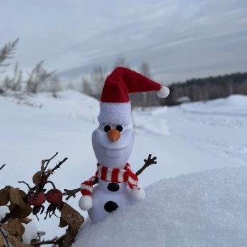 Зимняя прогулка с Олафом ☃️