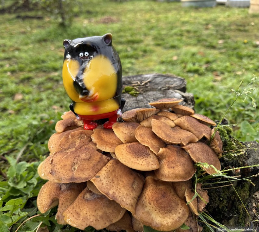 Новые фигурки, которые мне принесло лето🌞