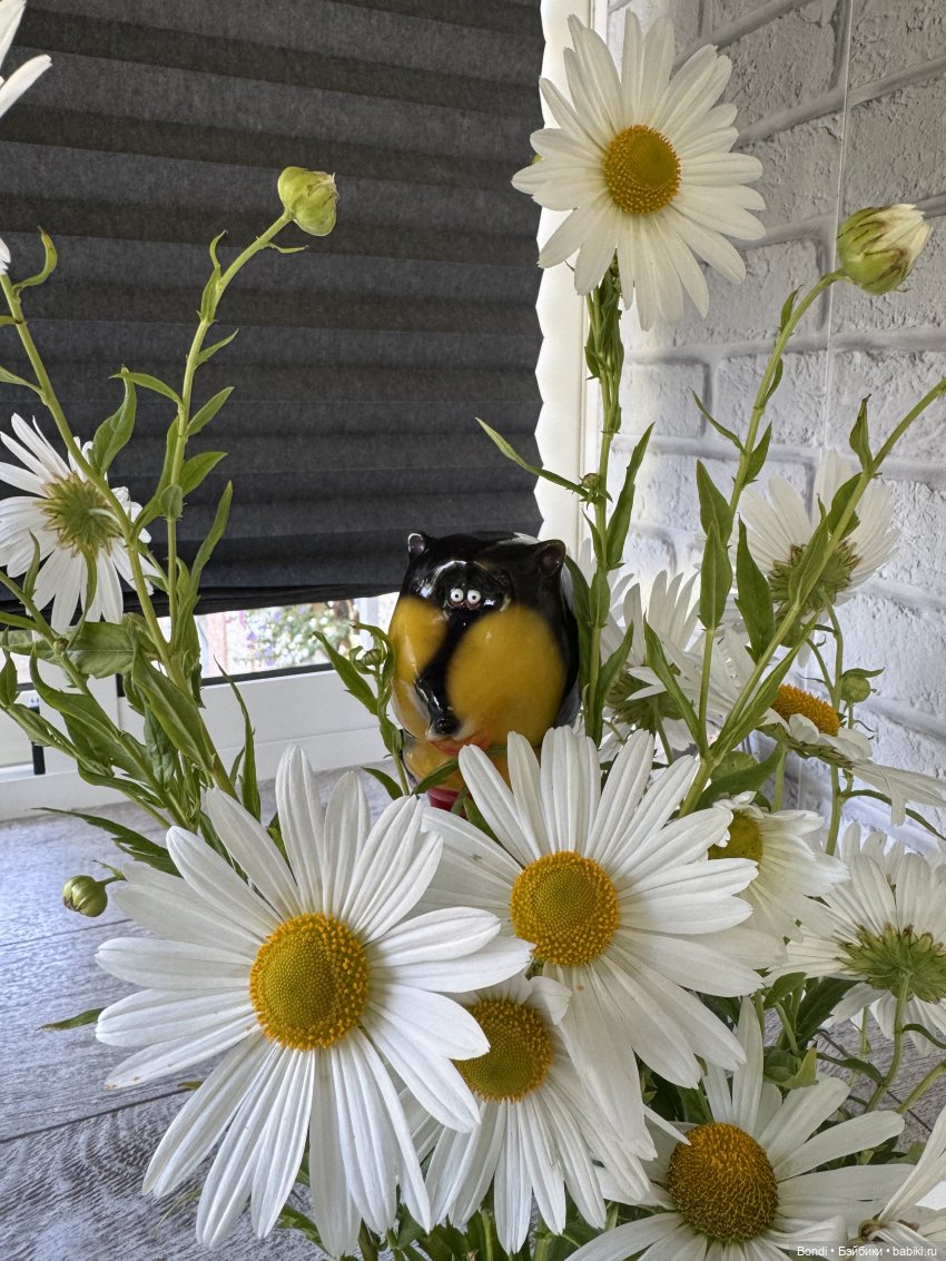 Новые фигурки, которые мне принесло лето🌞