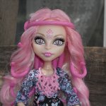 Наши куклы Monster high