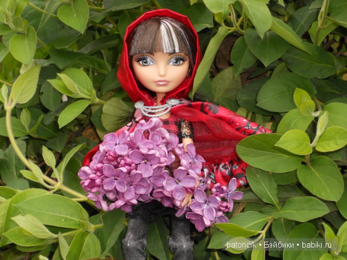 Кукла мечта. Ever After High
