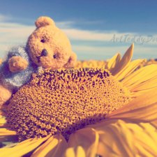 "Если бы мишки были пчелами..." ))