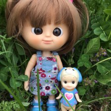 Поездка на дачу с Mui-chan, Migliorati и Sonny angel