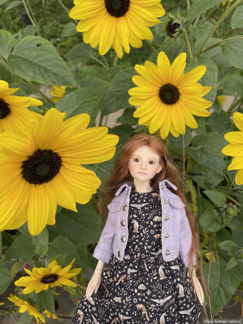 Миша от Ании Щадей и буйство красок в Аптекарском огороде