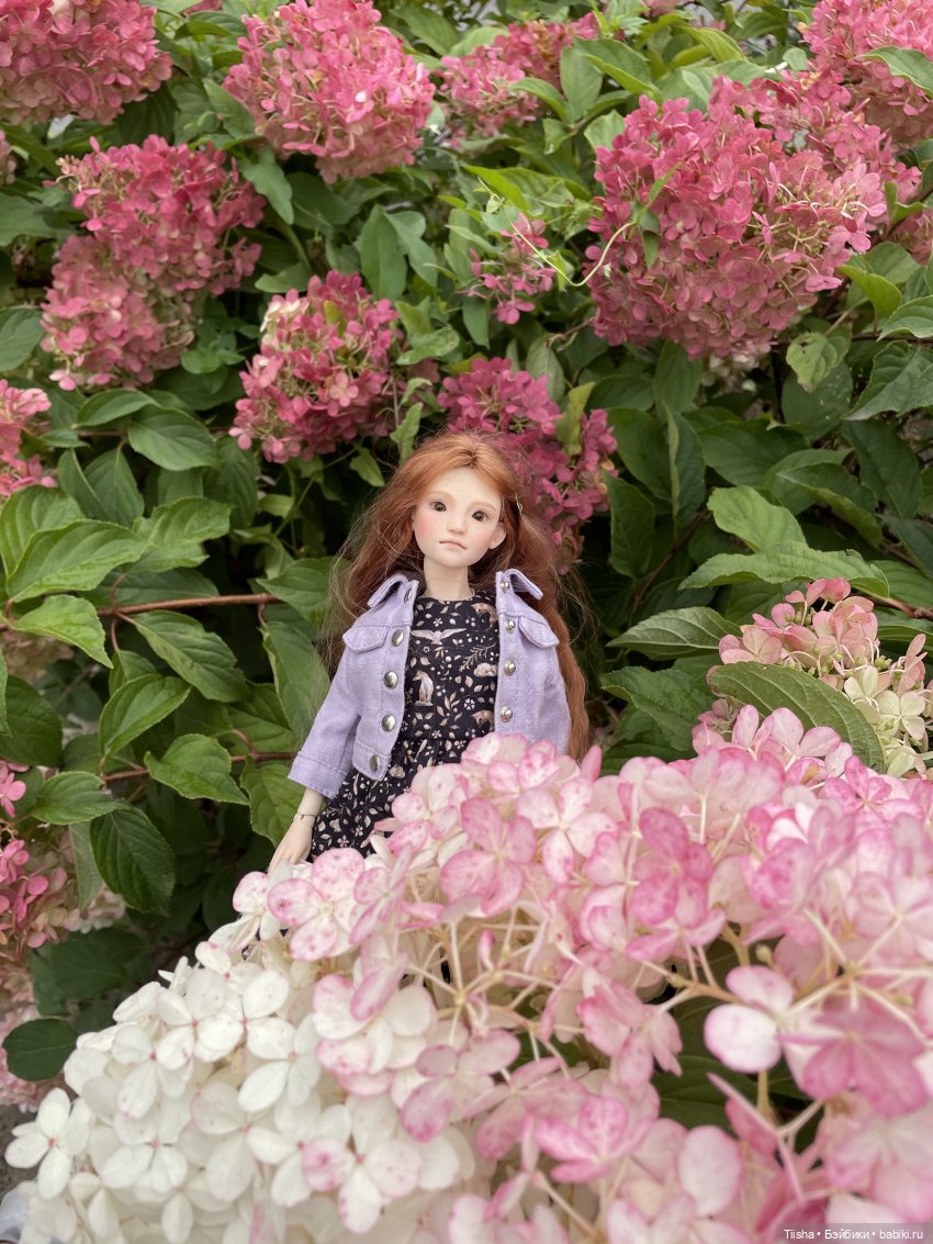 Миша от Ании Щадей и буйство красок в Аптекарском огороде