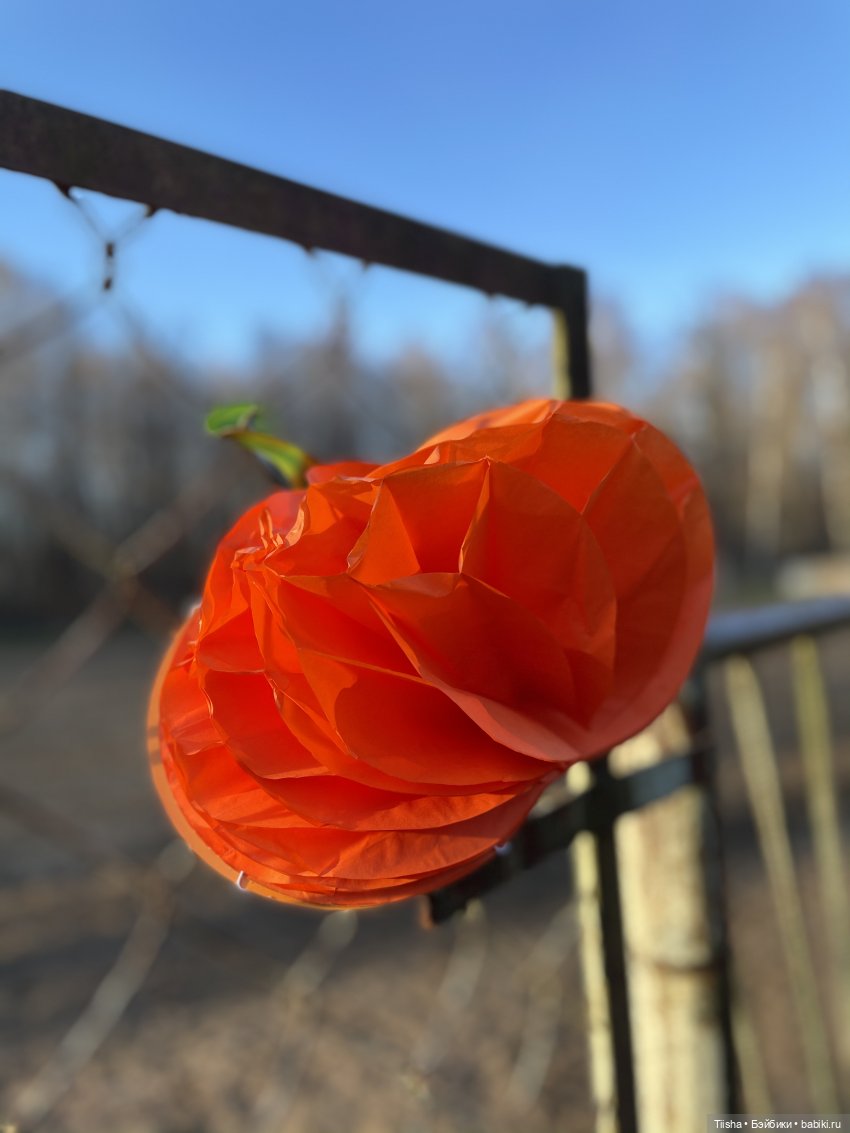 Мои монстрики Holala и Muichan