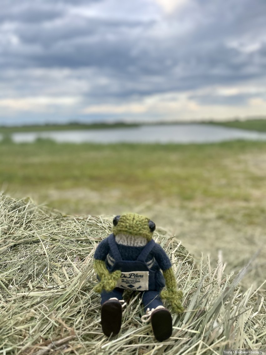 Чудесный лягушонок — Вязаные игрушки и амигуруми: крючком (фото 3)