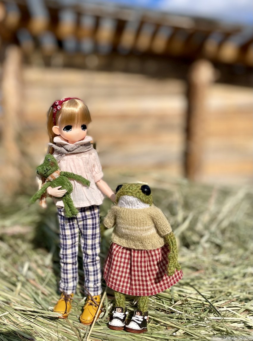 Лягушка - Квакушка — Вязаные игрушки и амигуруми: крючком