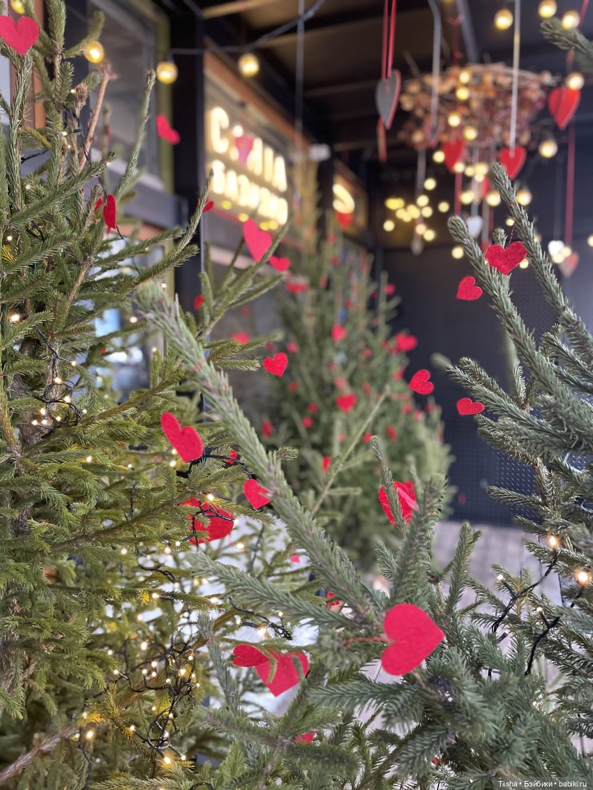 Анна - «пижамная» принцесса (фото 5)