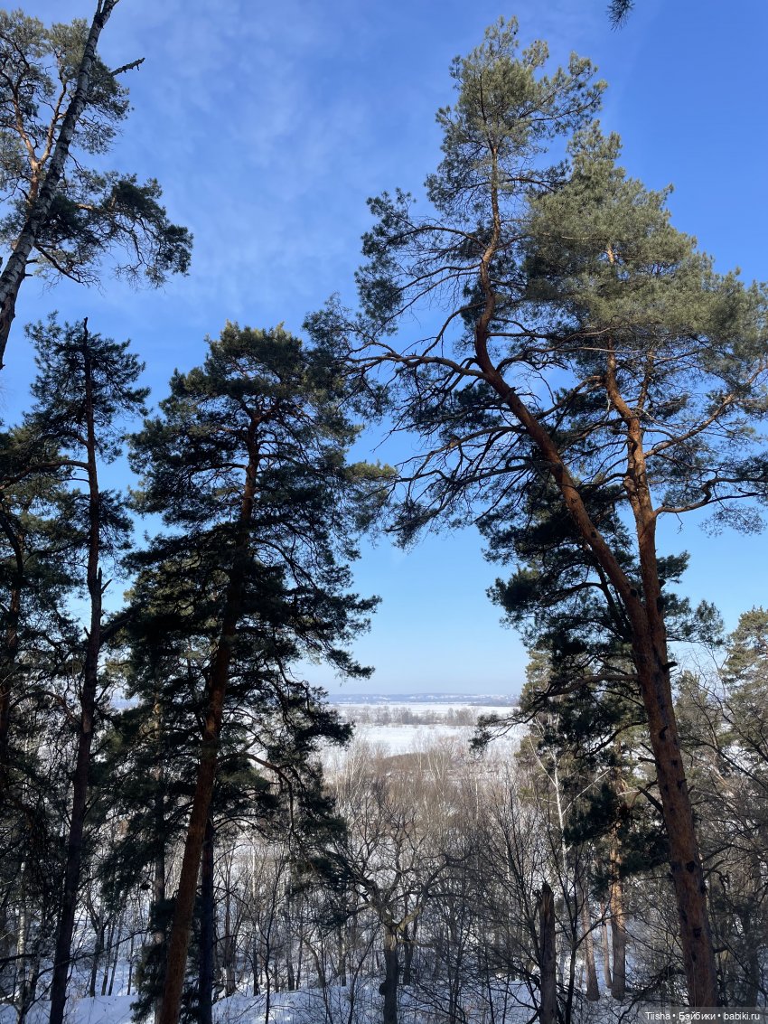 Mini cherry doll — Игровые куклы разных производителей (Разное): редкие бренды (фото 6)