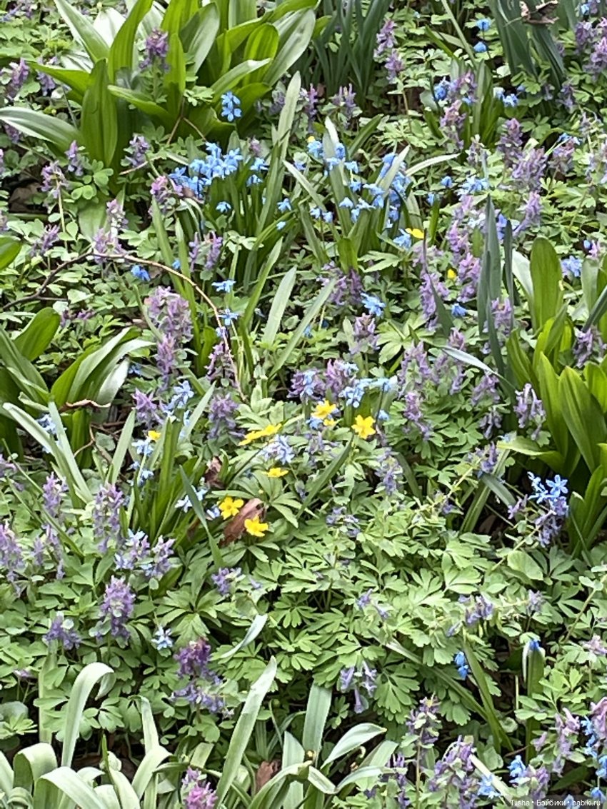 Пойдёмте бабочек ловить — Игровые куклы разных производителей (Разное): редкие бренды (фото 7)