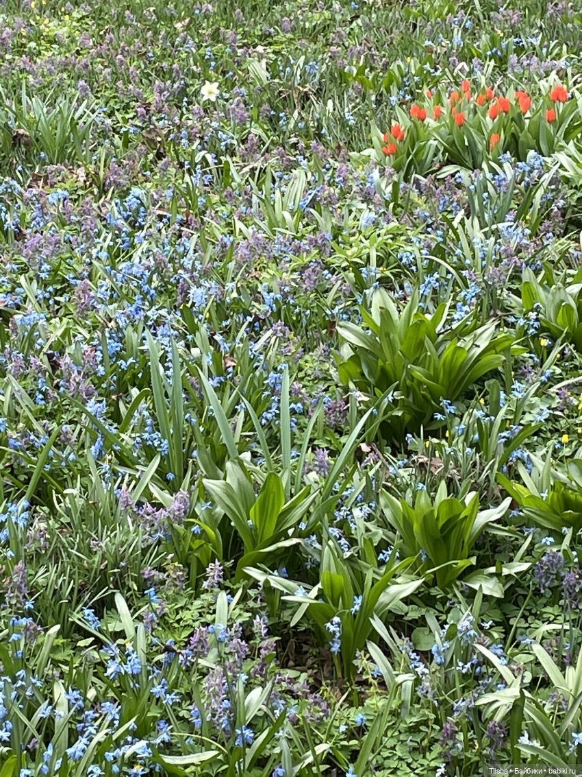 Пойдёмте бабочек ловить — Игровые куклы разных производителей (Разное): редкие бренды (фото 8)