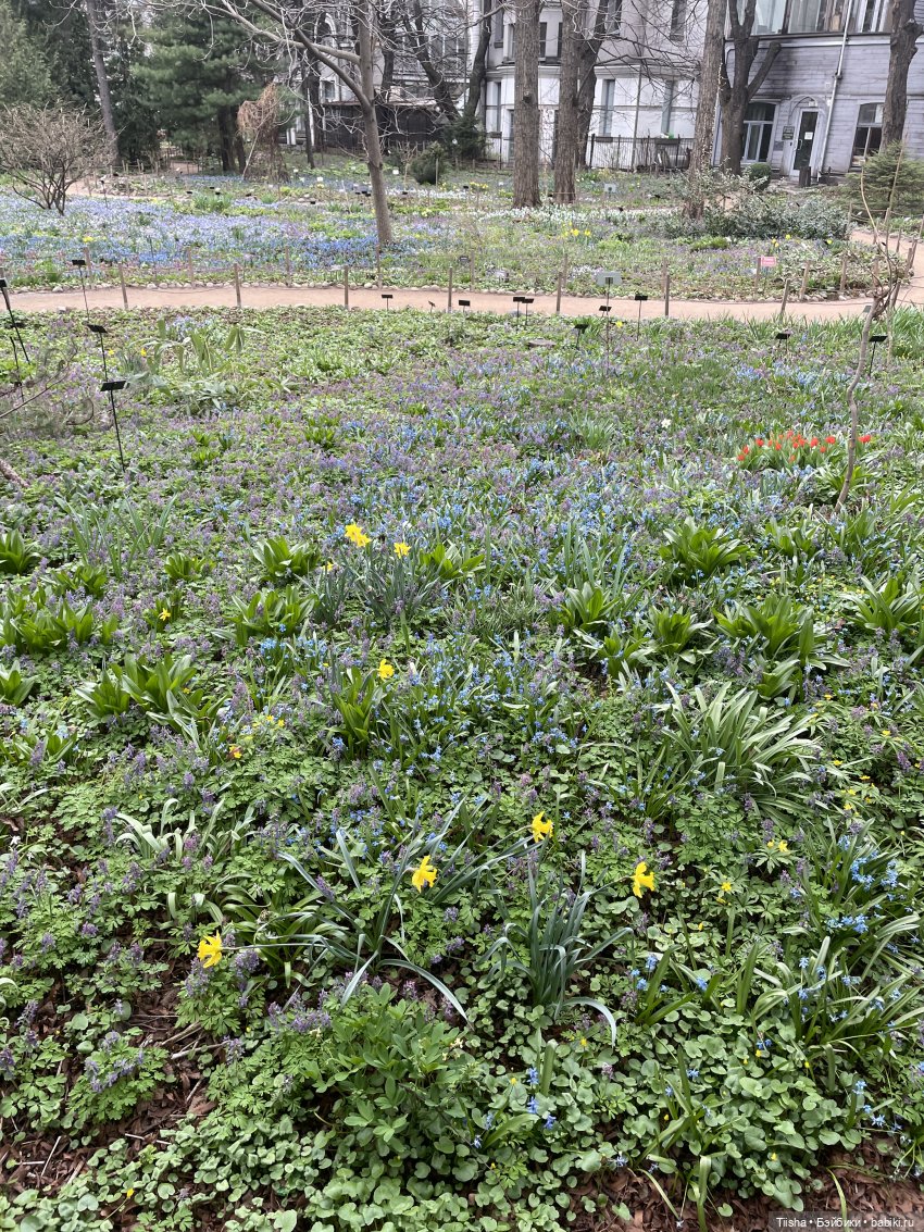 Пойдёмте бабочек ловить — Игровые куклы разных производителей (Разное): редкие бренды (фото 2)