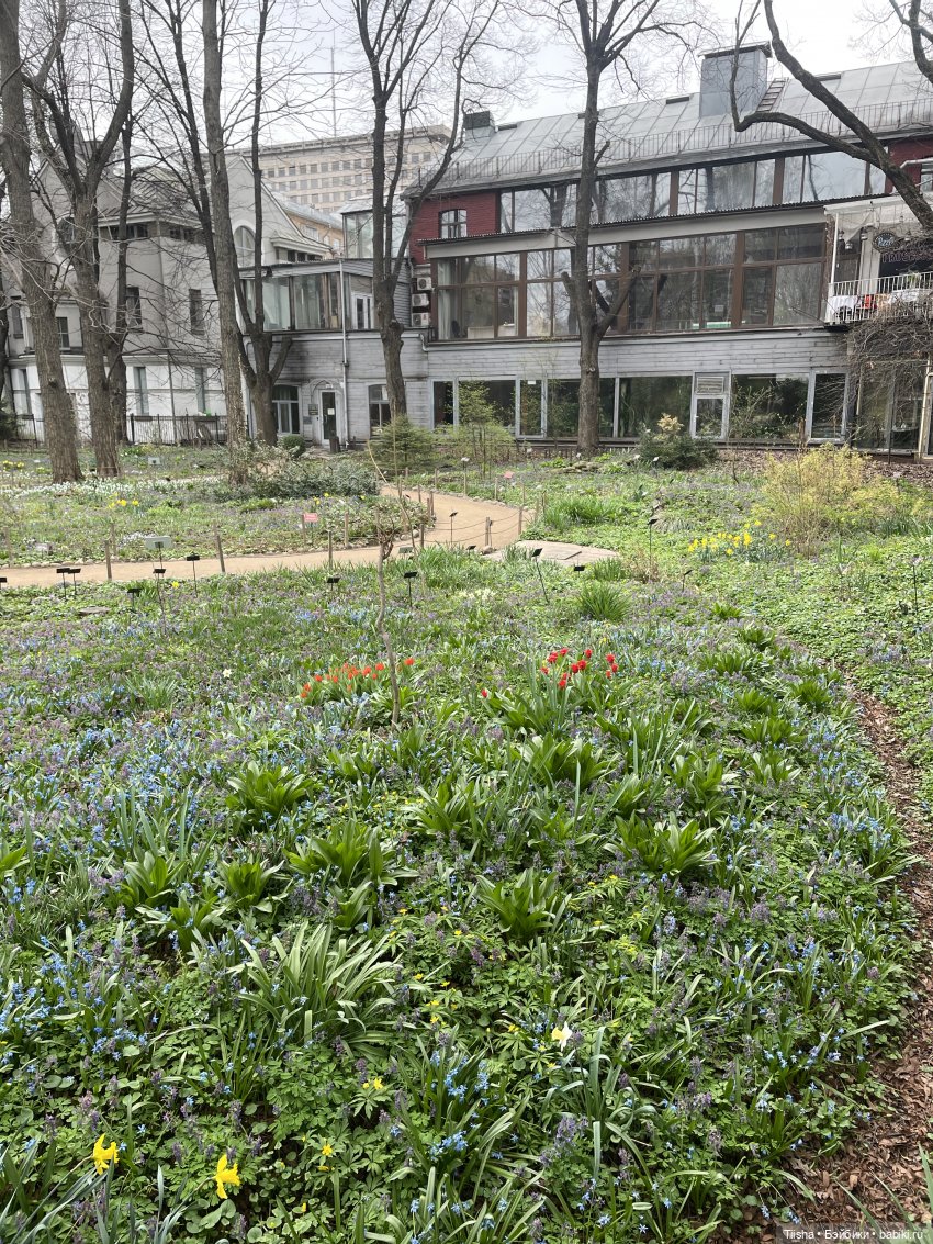 Пойдёмте бабочек ловить — Игровые куклы разных производителей (Разное): редкие бренды