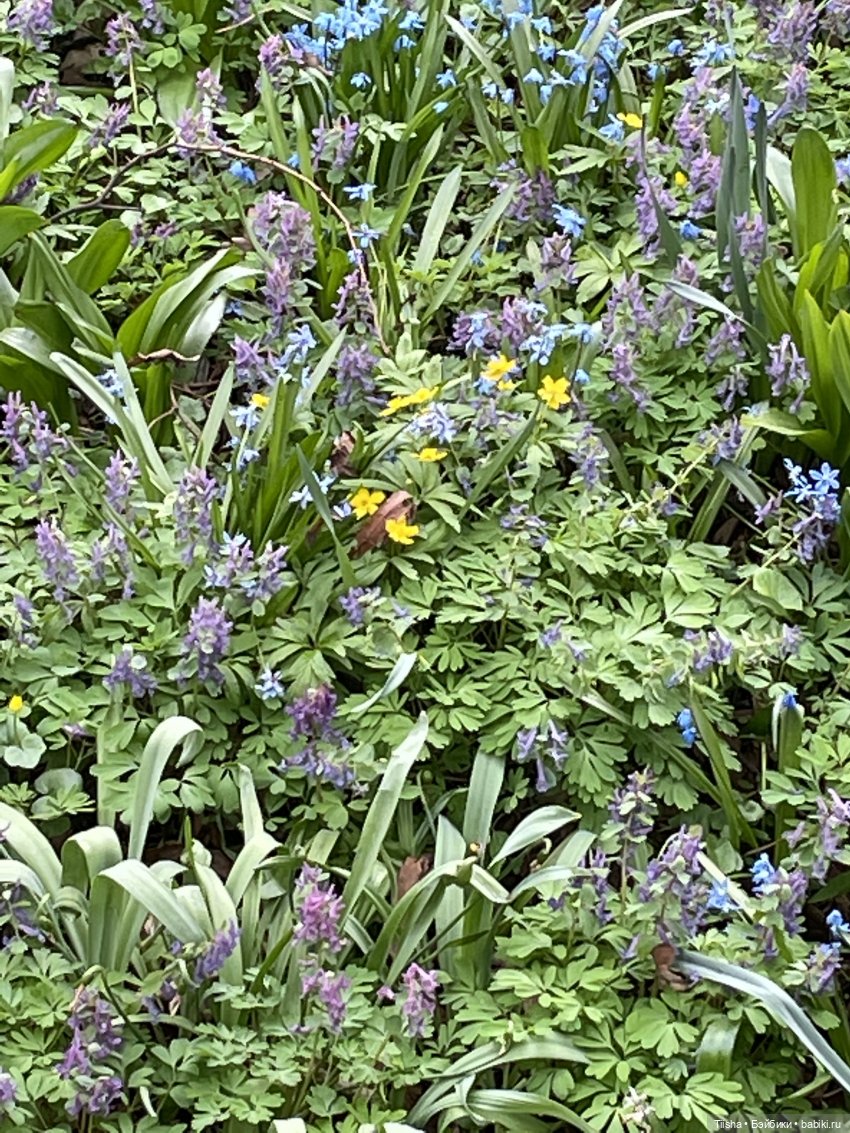 Пойдёмте бабочек ловить — Игровые куклы разных производителей (Разное): редкие бренды (фото 5)