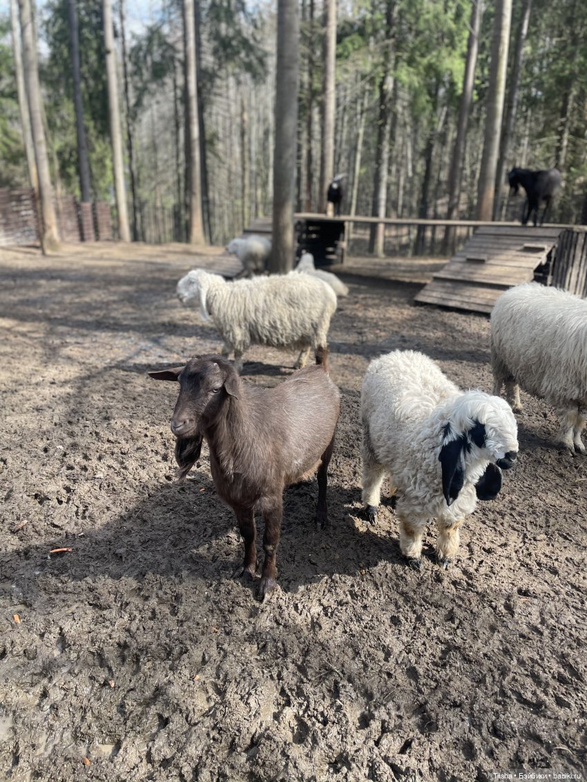 Замечательные выходные с Kkner