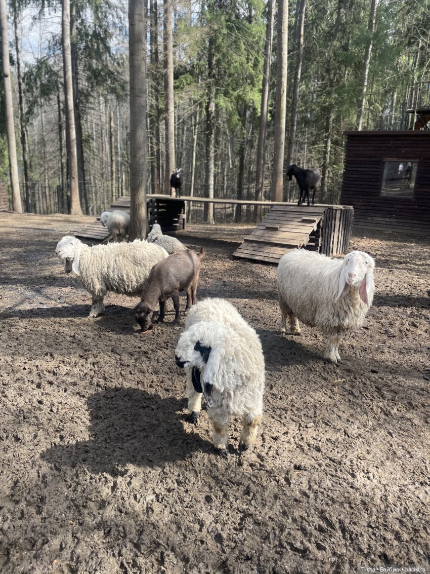 Замечательные выходные с Kkner