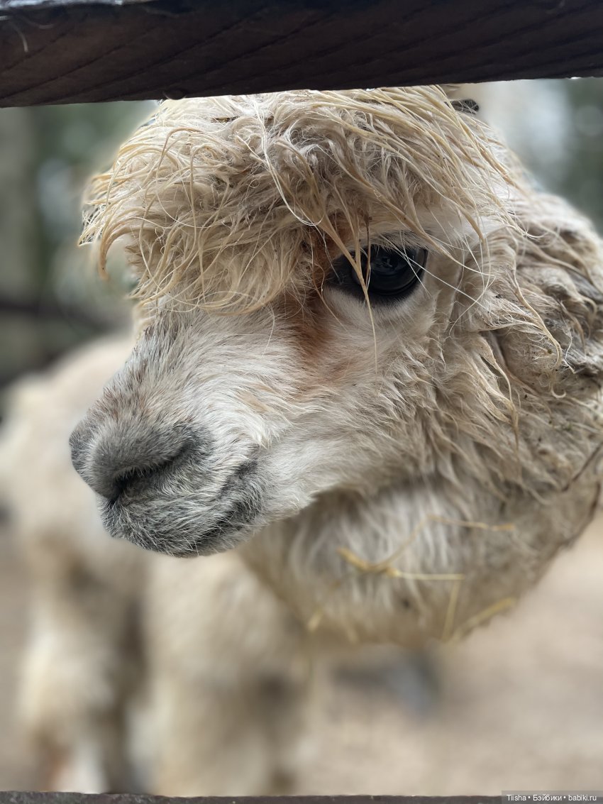 Замечательные выходные с Kkner