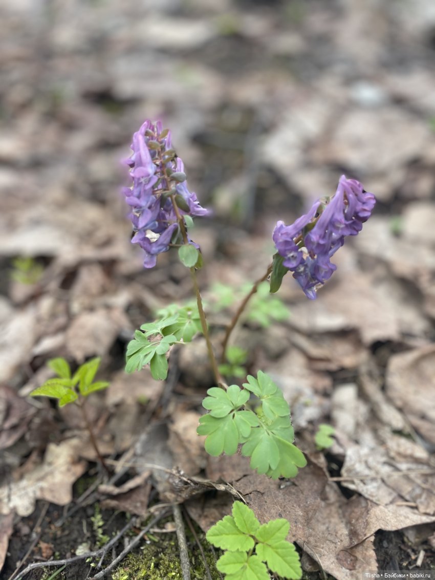 Замечательные выходные с Kkner (фото 4)