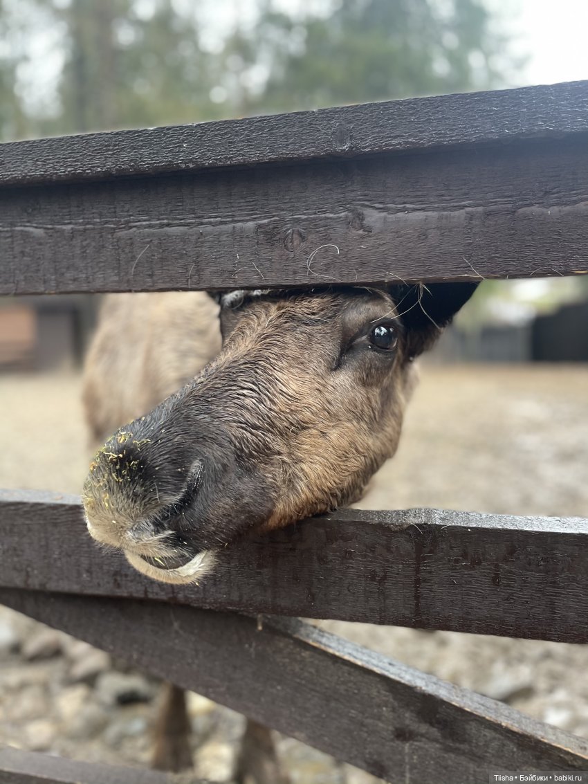 Замечательные выходные с Kkner