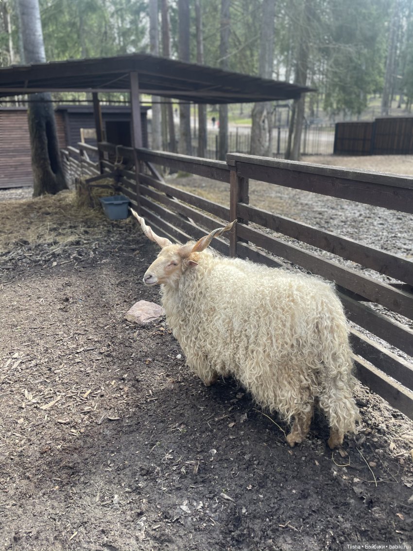 Замечательные выходные с Kkner