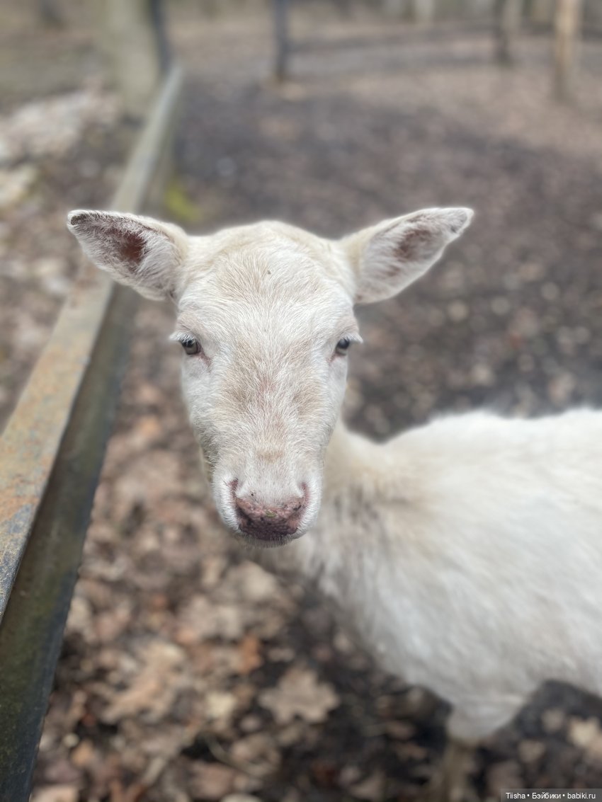 Замечательные выходные с Kkner