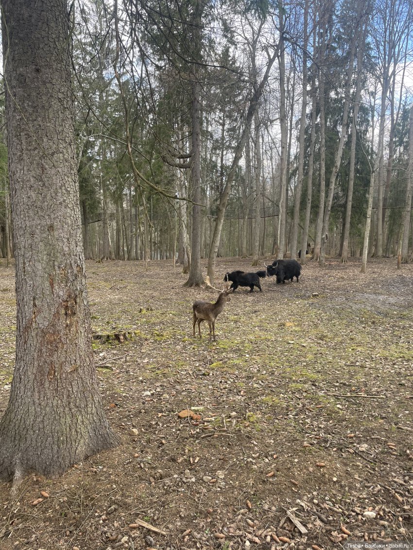 Замечательные выходные с Kkner