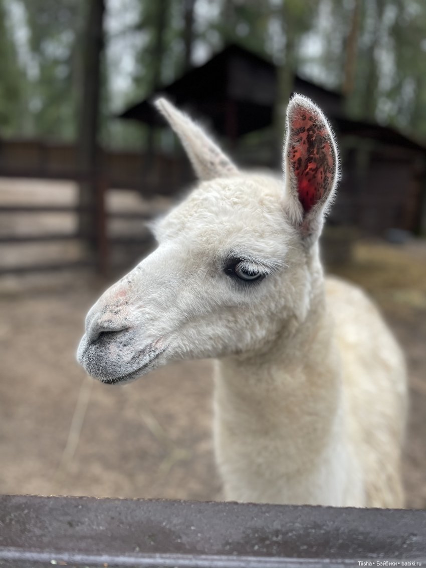 Замечательные выходные с Kkner