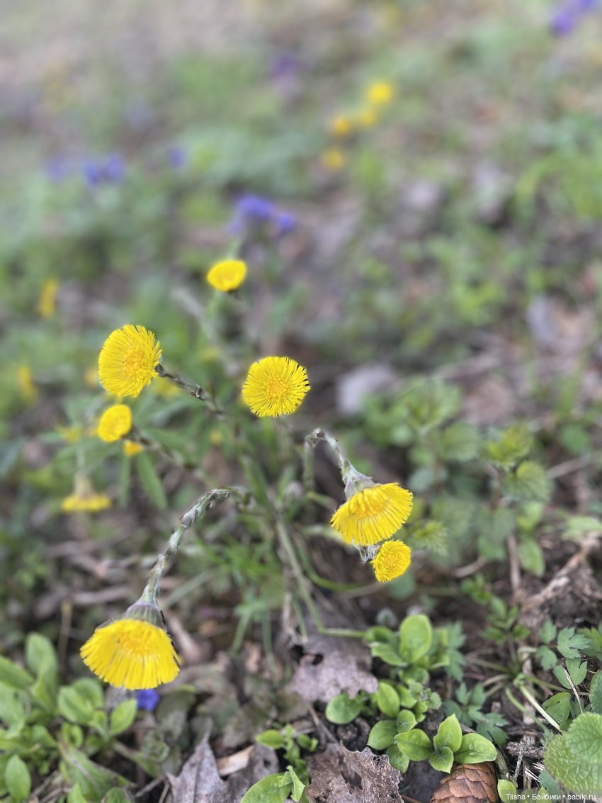 Замечательные выходные с Kkner