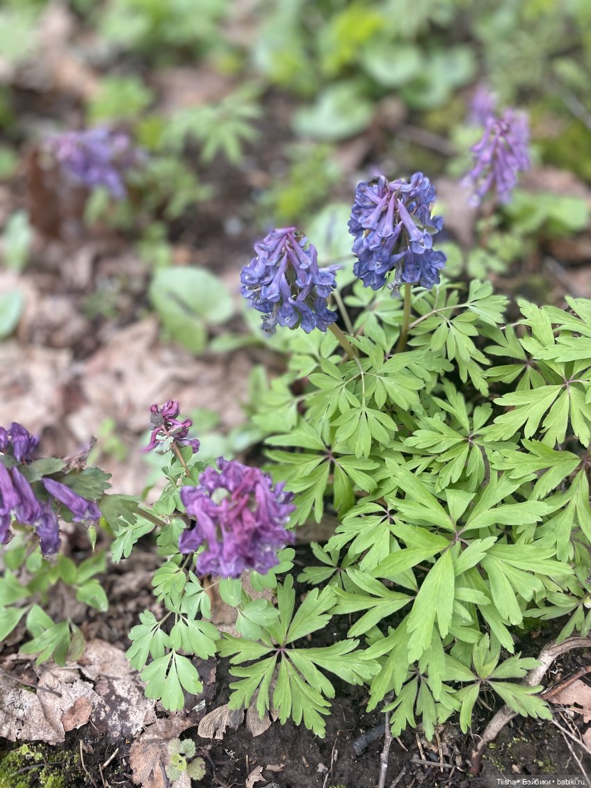 Замечательные выходные с Kkner