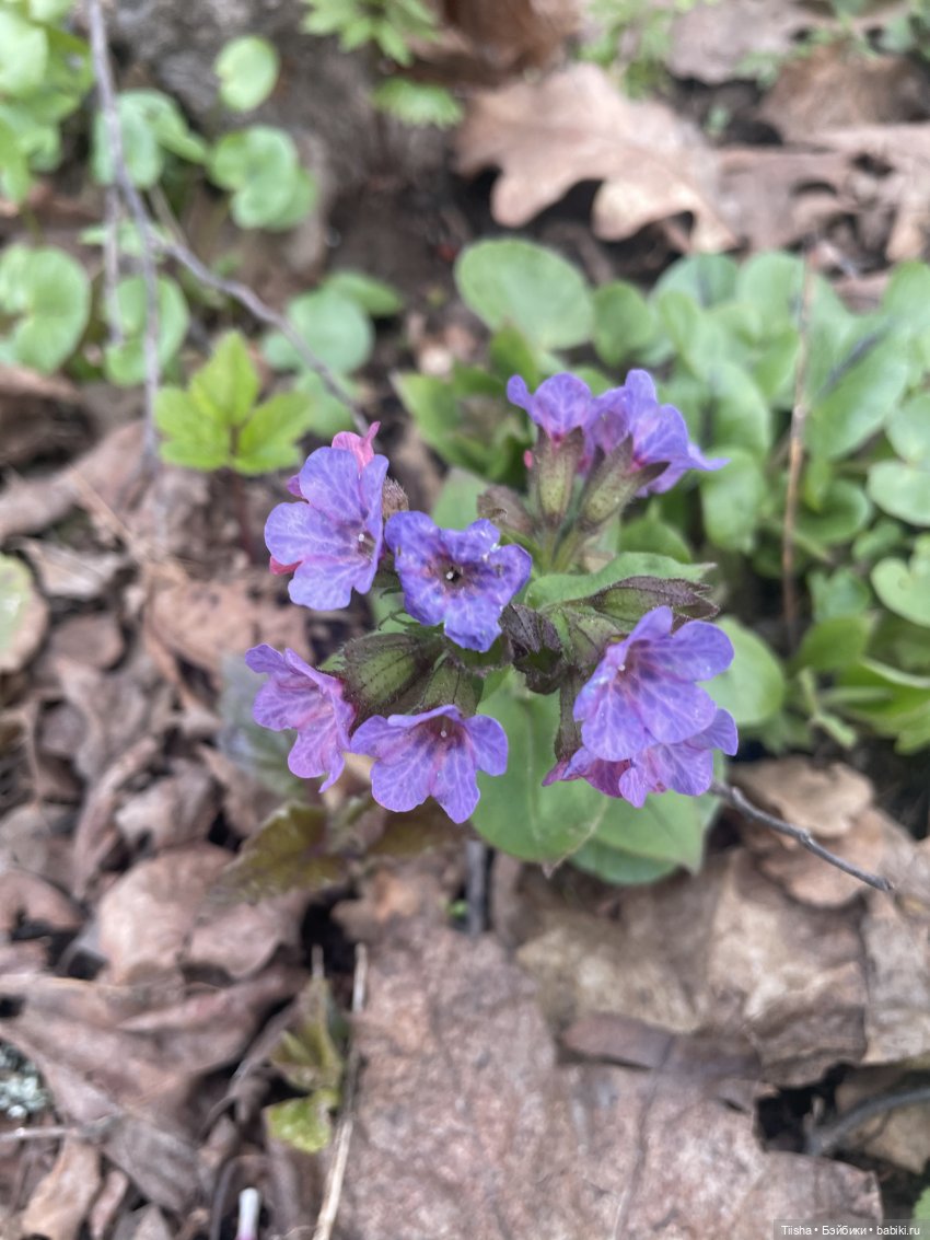 Замечательные выходные с Kkner (фото 3)