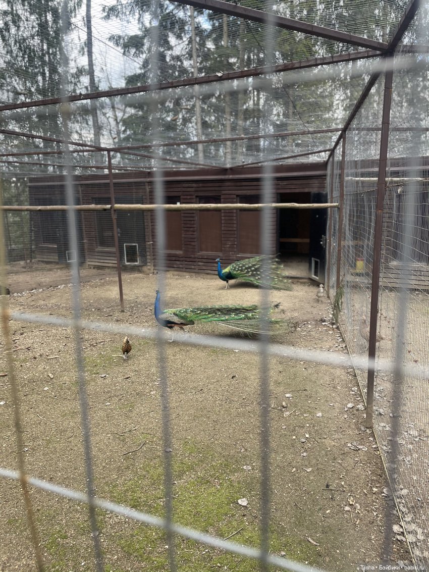 Замечательные выходные с Kkner