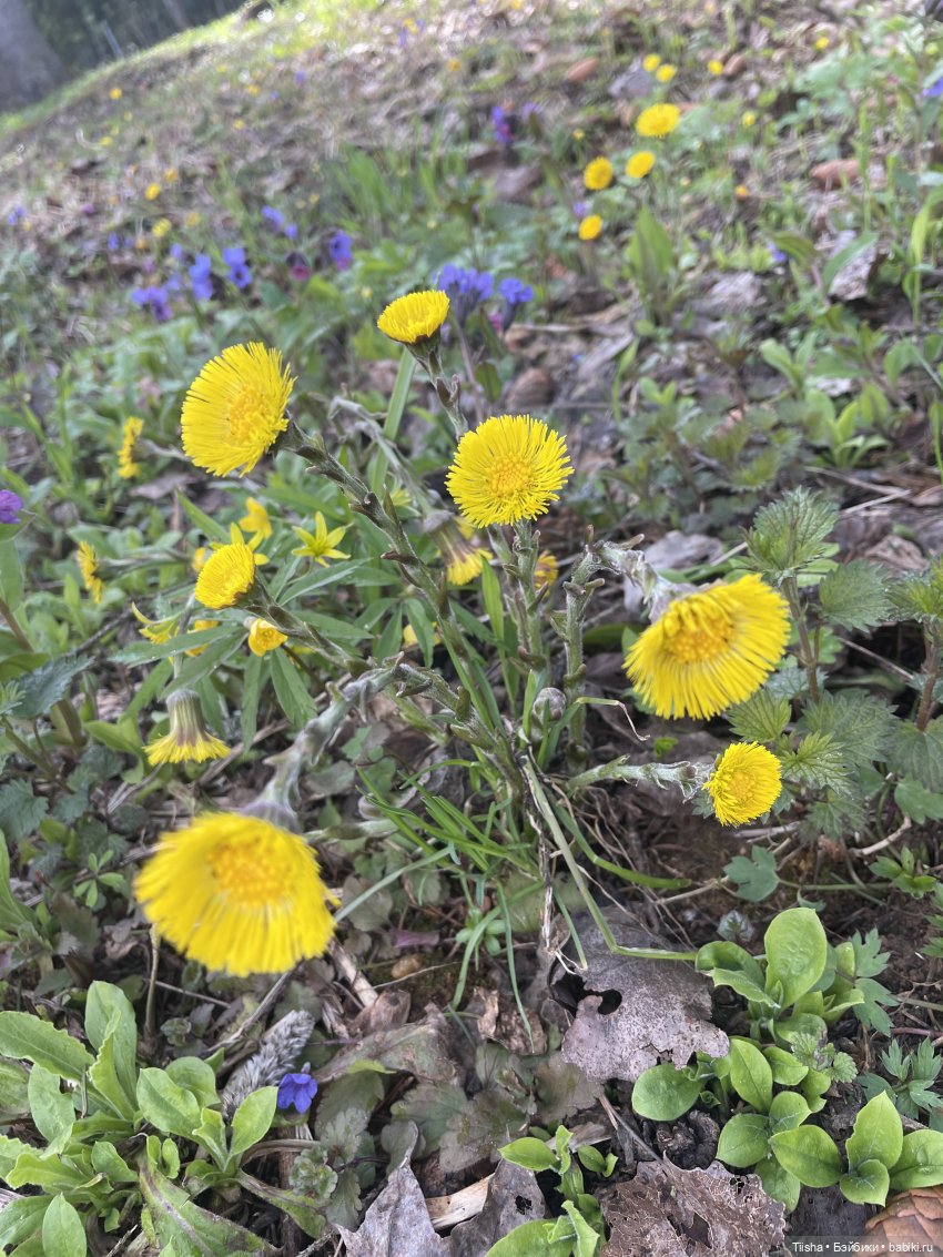 Замечательные выходные с Kkner (фото 2)