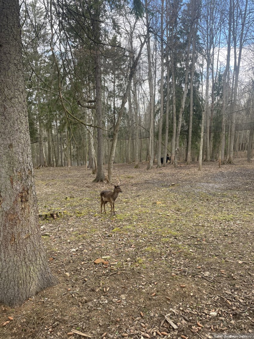 Замечательные выходные с Kkner