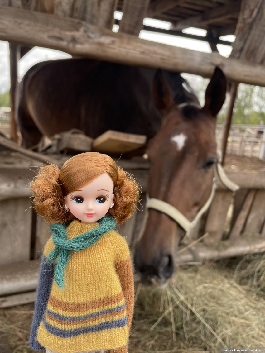 С Днём Рождения, Ликка — Куклы Takara Tomy (Такара): Licca (Ликка)