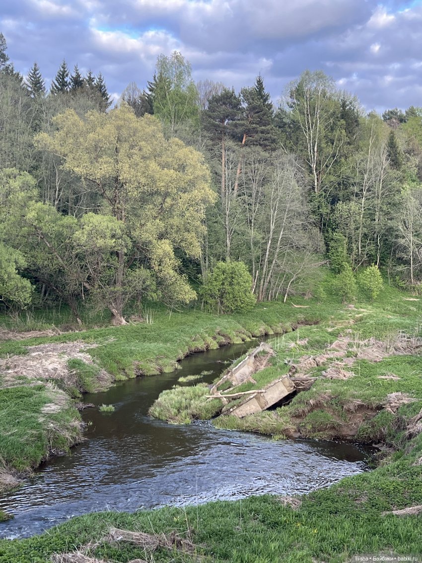 Дачные зарисовки с mini cherry doll (фото 6)