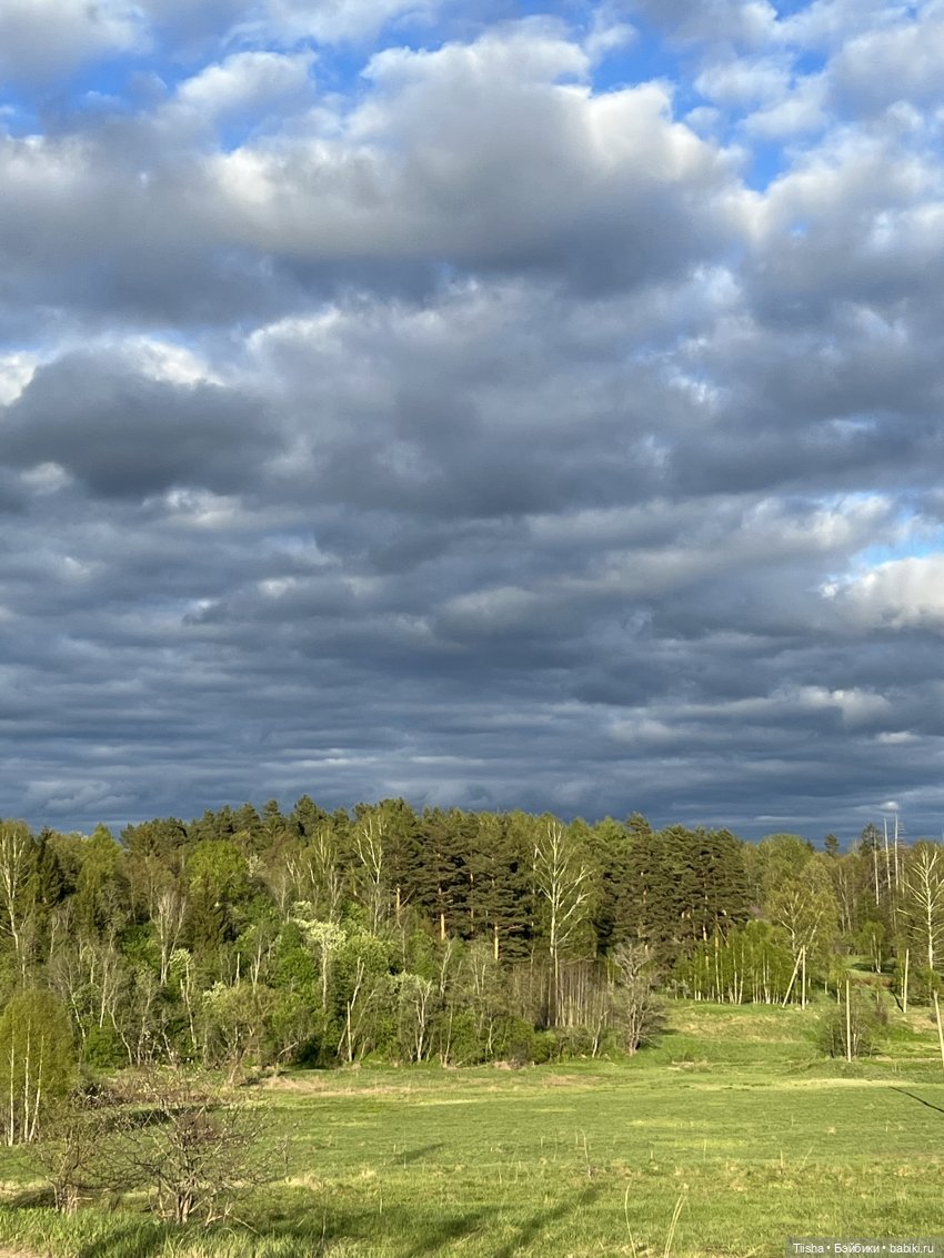 Дачные зарисовки с mini cherry doll (фото 3)