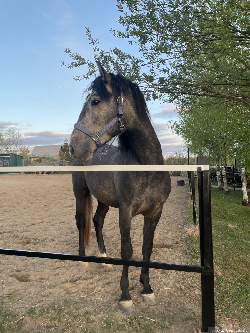 Дачные зарисовки с mini cherry doll