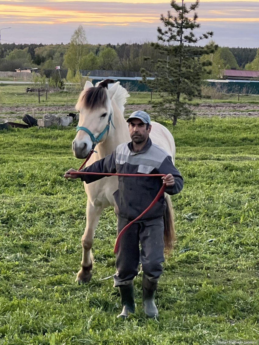 Дачные зарисовки с mini cherry doll (фото 7)