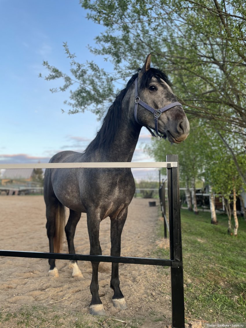 Дачные зарисовки с mini cherry doll (фото 10)