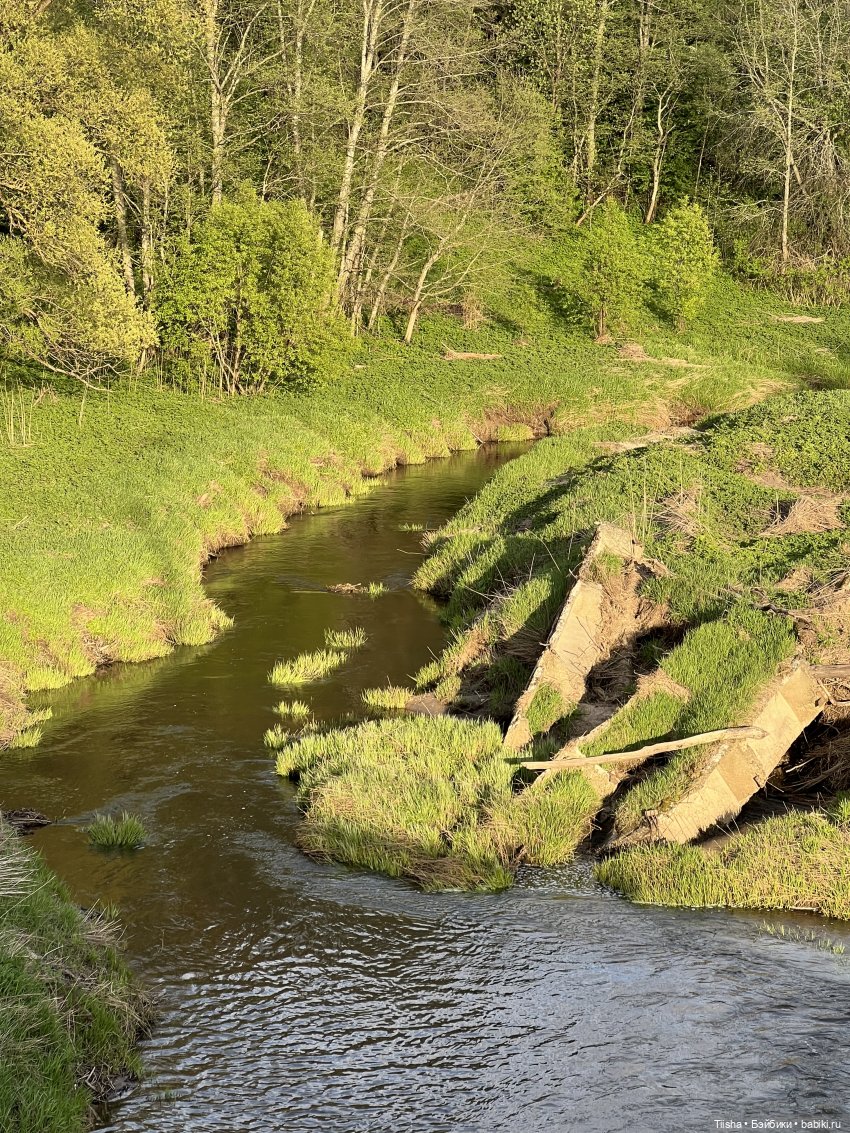 Дачные зарисовки с mini cherry doll (фото 4)