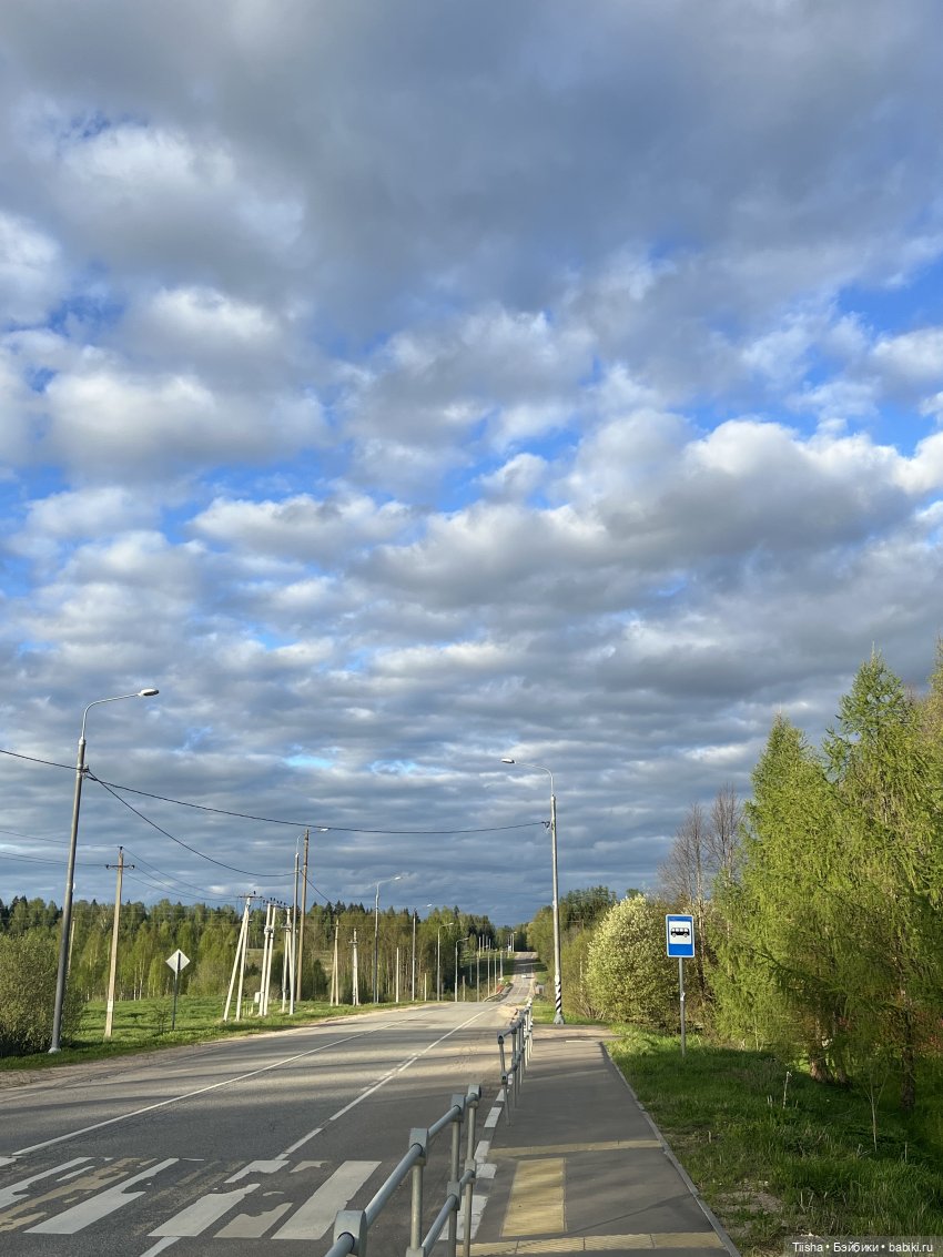 Дачные зарисовки с mini cherry doll (фото 5)